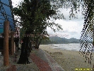 IMG_3534.jpg