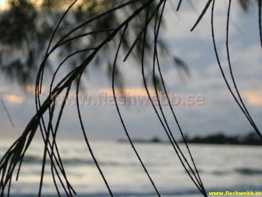 IMG_3374.jpg