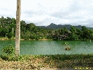 IMG_3078.jpg