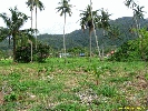 IMG_3087.jpg