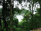 IMG_3089.jpg