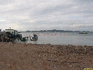 IMG_3091.jpg