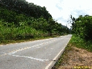 IMG_3100.jpg