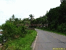 IMG_3104.jpg