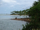 IMG_3106.jpg