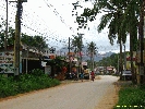 IMG_3127.jpg