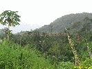 IMG_3130.jpg