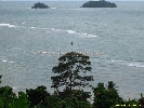 IMG_3134.jpg