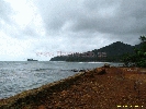 IMG_3137.jpg