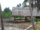 IMG_3144.jpg