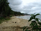 IMG_3149.jpg