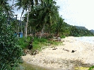IMG_3152.jpg