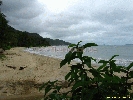 IMG_3153.jpg
