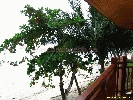 IMG_3161.jpg