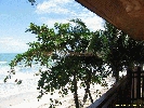 IMG_3178.jpg