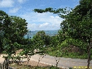 IMG_3184.jpg