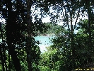 IMG_3185.jpg