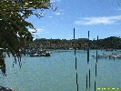 IMG_3186.jpg