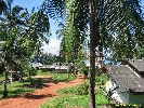 IMG_3193.jpg
