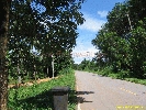 IMG_3194.jpg