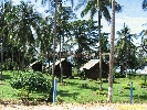 IMG_3195.jpg