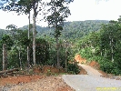 IMG_3204.jpg