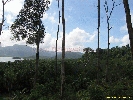 IMG_3205.jpg