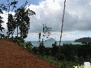 IMG_3206.jpg
