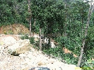 IMG_3208.jpg