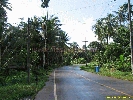 IMG_3219.jpg