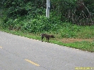 IMG_3221.jpg