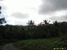 IMG_3222.jpg