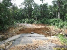 IMG_3223.jpg