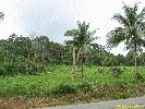 IMG_3224.jpg