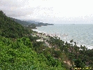 IMG_3228.jpg