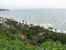IMG_3230.jpg