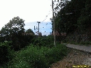 IMG_3231.jpg