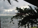 IMG_3233.jpg