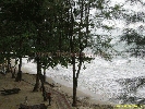 IMG_3236.jpg