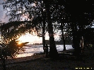 IMG_3251.jpg