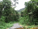 IMG_3285.jpg