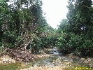 IMG_3286.jpg