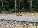 IMG_3288.jpg