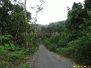 IMG_3289.jpg