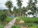 IMG_3290.jpg