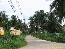 IMG_3292.jpg