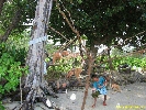 IMG_3310.jpg