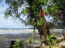 IMG_3313.jpg