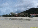 IMG_3317.jpg