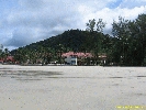 IMG_3318.jpg
